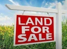 Property Photo: 605 Orchard Pond Drive IL 60047