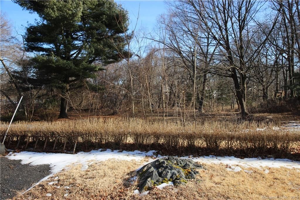 Property Photo:  75B Florence Avenue  CT 06460 