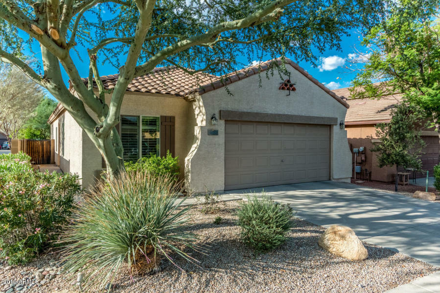 Property Photo:  9149 E Auburn Street  AZ 85207 