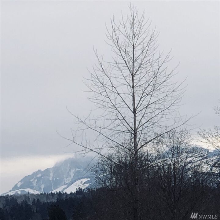 100 Xx Bunk Foss Rd  Snohomish WA 98290 photo