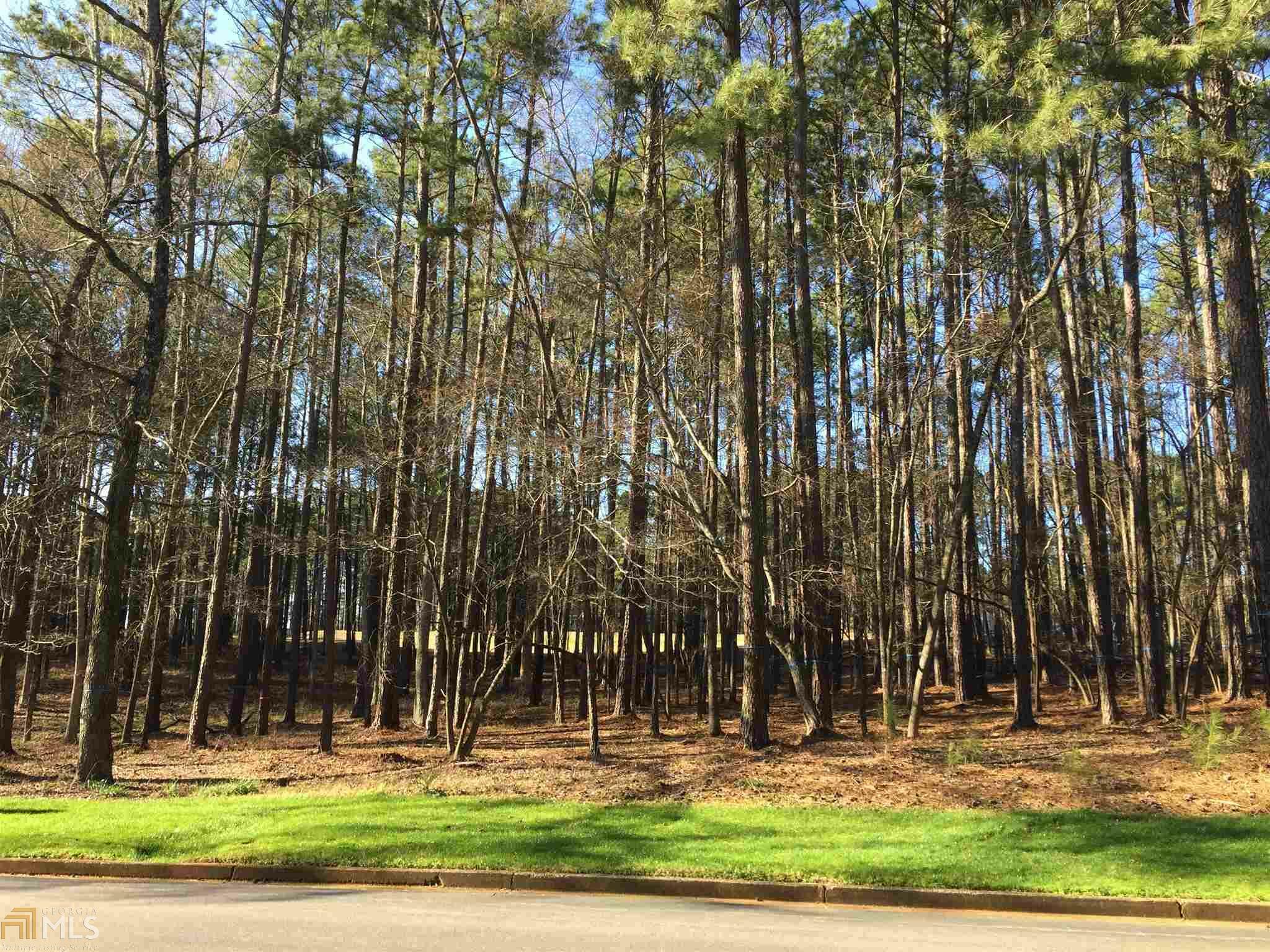 Property Photo: 1600 Club Dr 2013 GA 30642