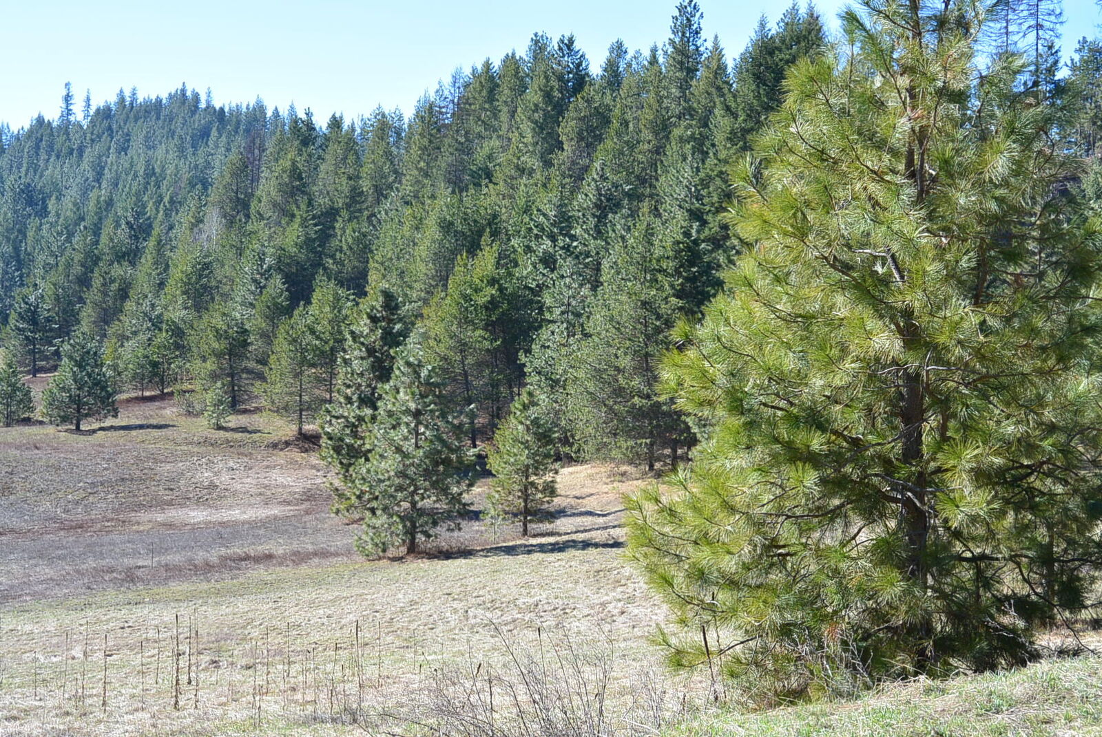 Property Photo:  304X Red Marble Rd  WA 99109 