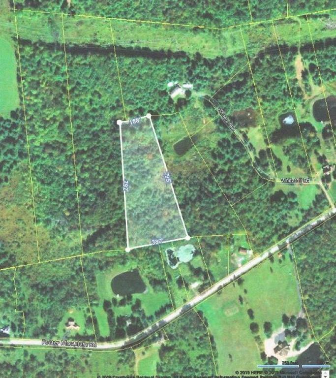 Property Photo:  0 Potter Mountain Road  NY 12076 