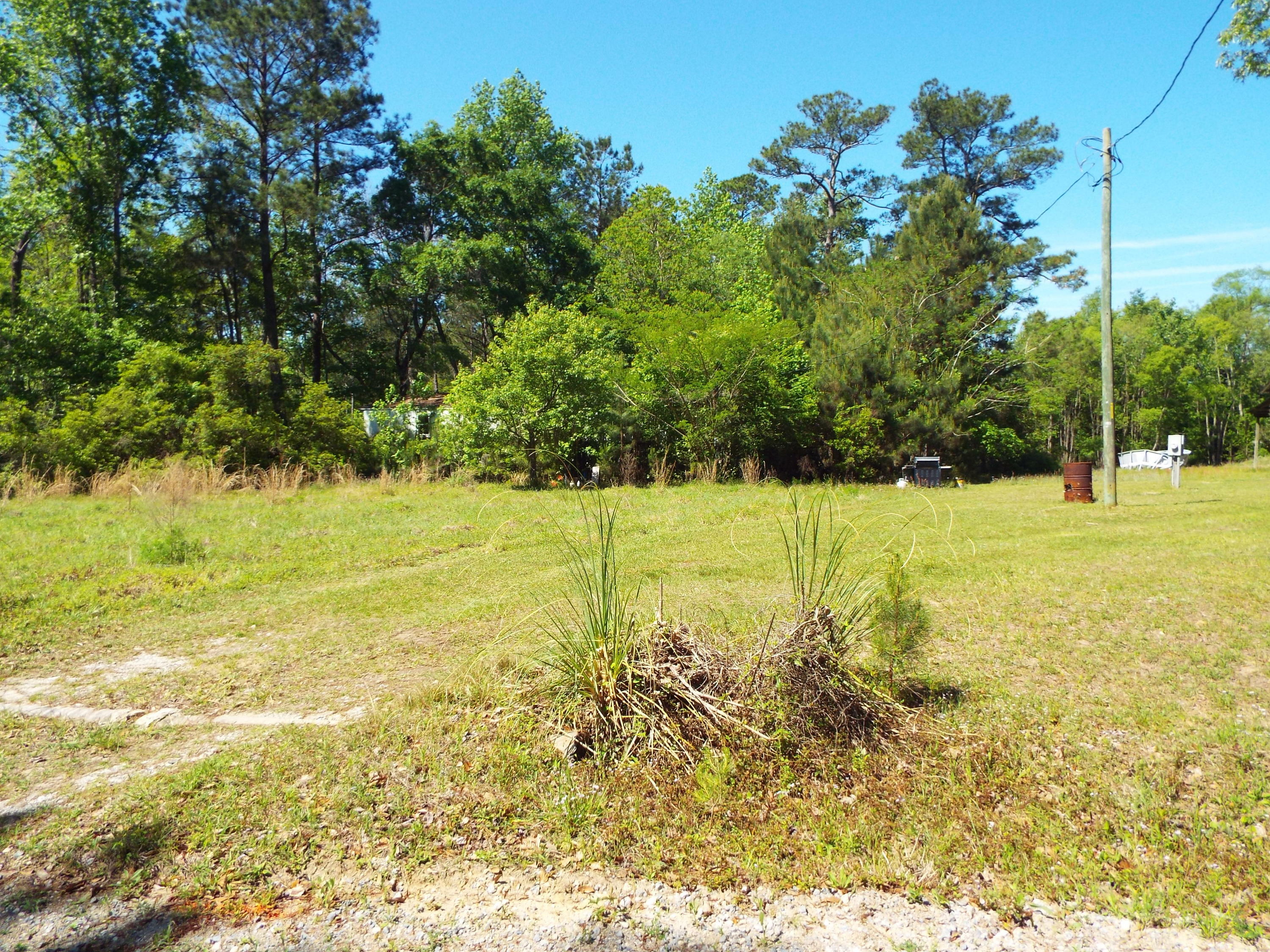 Property Photo:  930 Hunt Drive  SC 29450 