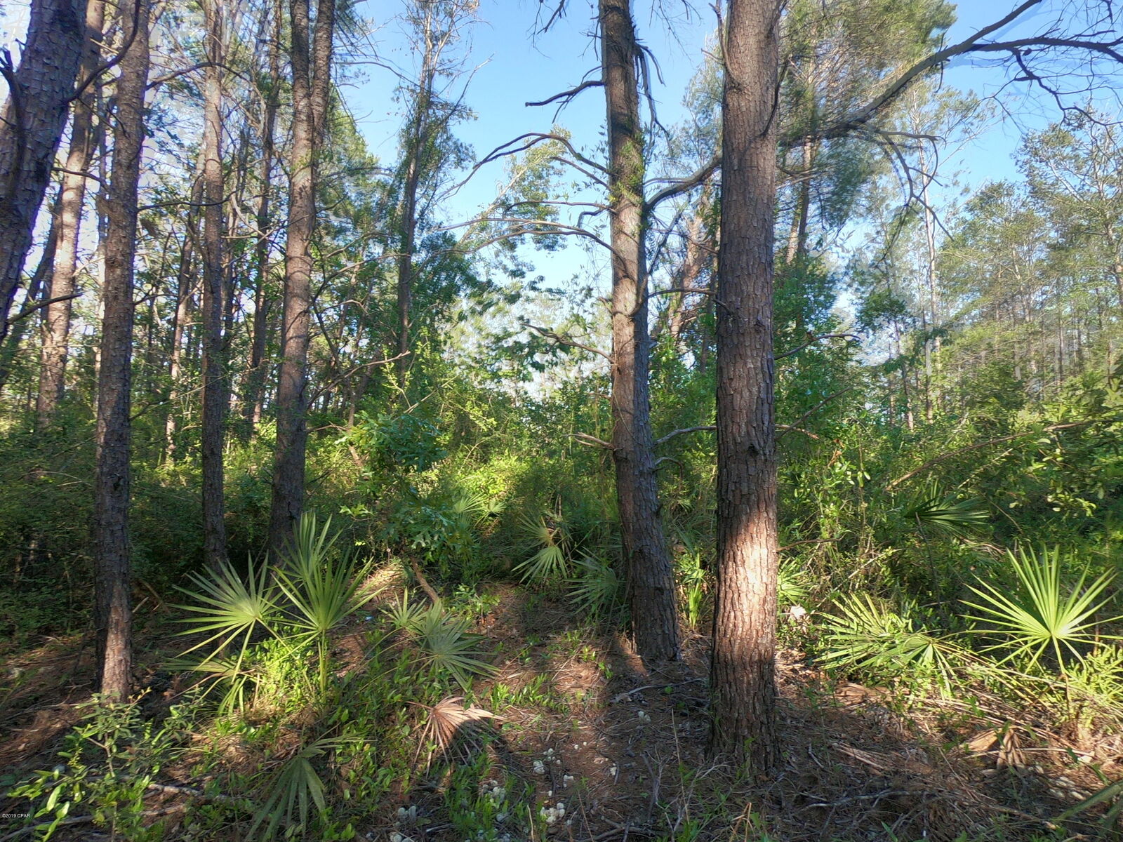 Property Photo: 1904 Kingslee Dr Drive FL 32409