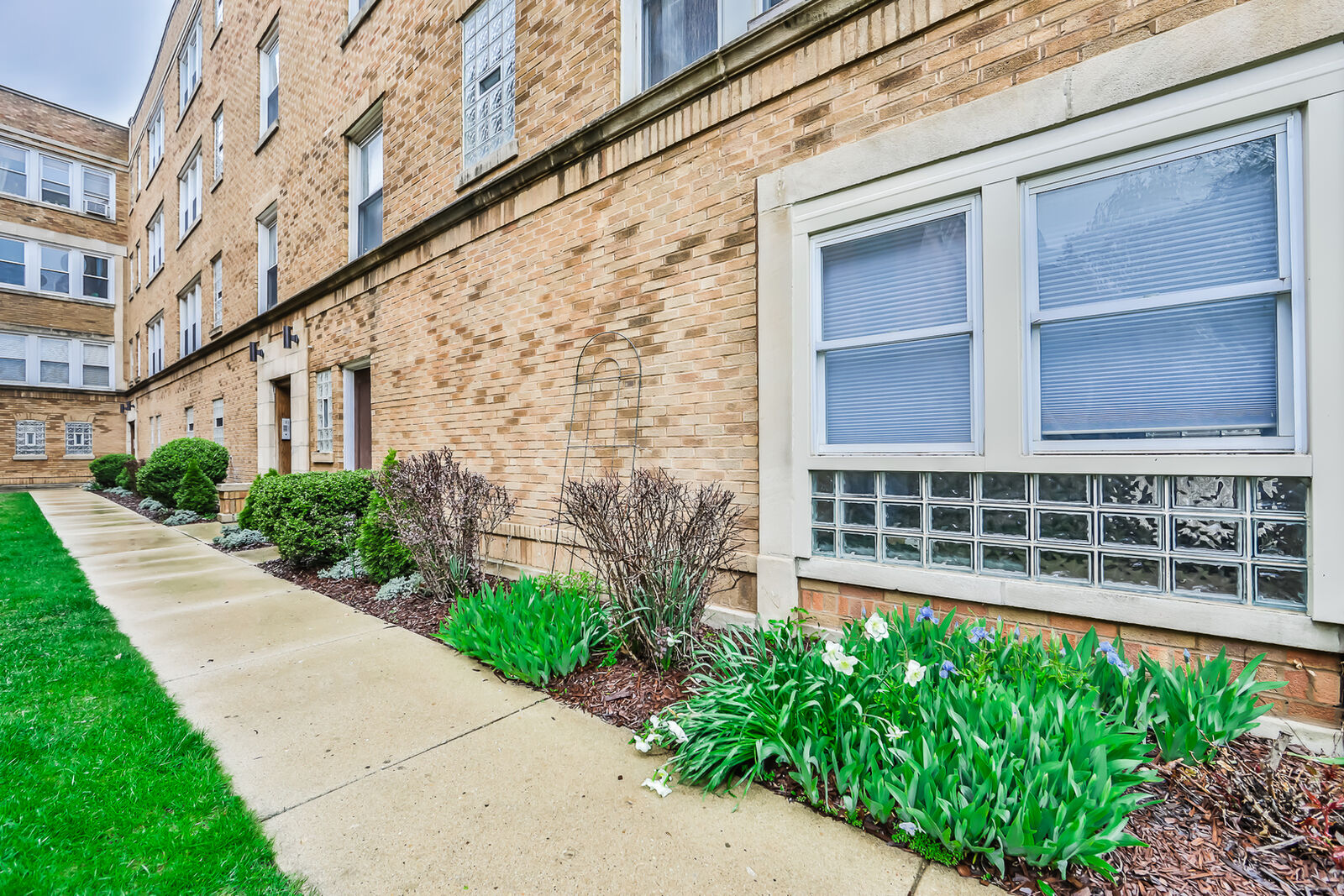 Property Photo: 4894 North Ashland Avenue 1E IL 60640