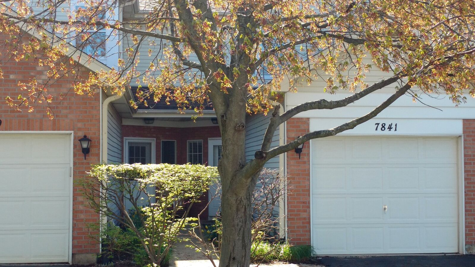 Property Photo:  7841 Darien Lake Drive  IL 60561 