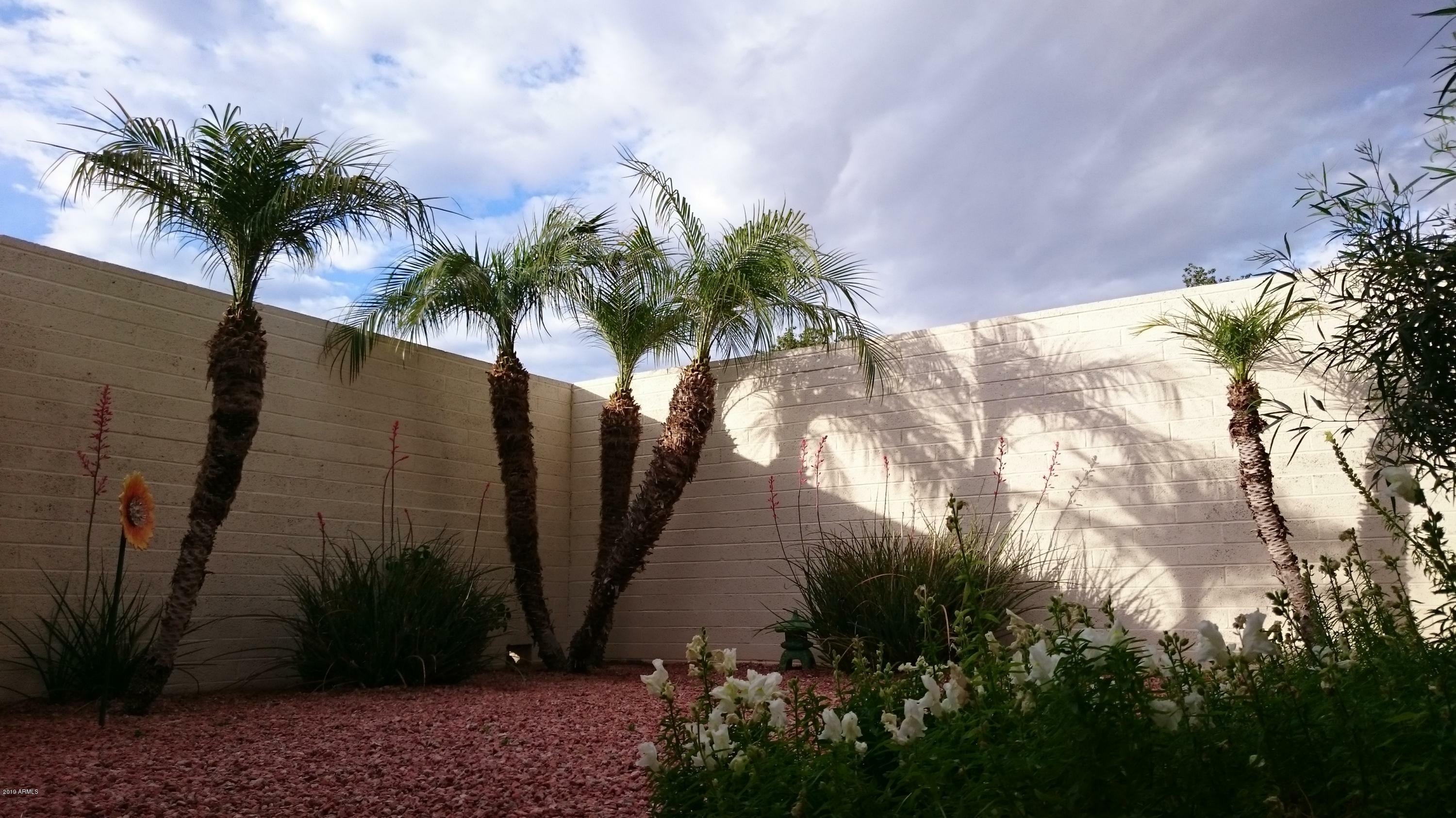 Property Photo:  13258 W Aleppo Drive  AZ 85375 