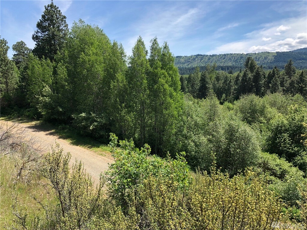 Property Photo:  3581 Hwy 970 (Lot 4)  WA 98922 