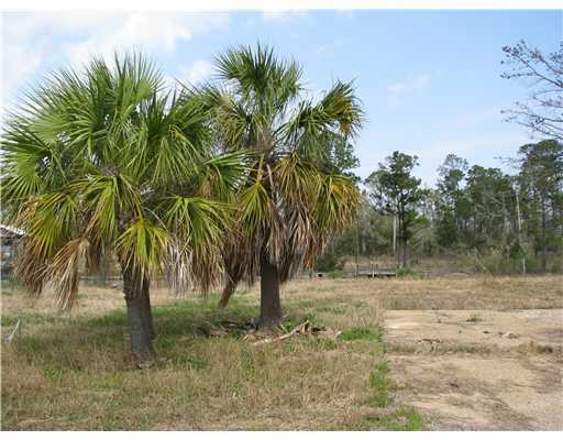 Property Photo: 104 Cedarwood Point Drive MS 39571