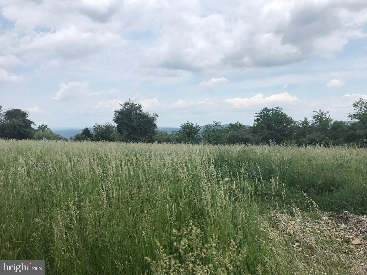 Property Photo:  North Apple Ridge Road  WV 26757 