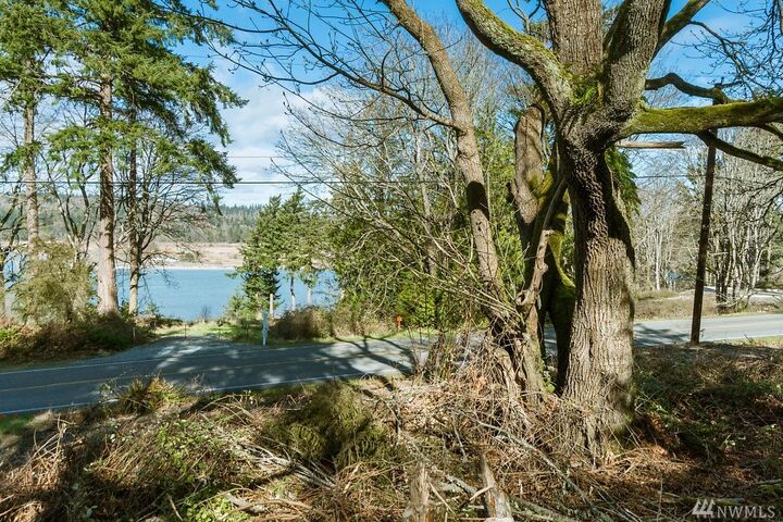 Xxx Cultus Bay Rd  Clinton WA 98236 photo