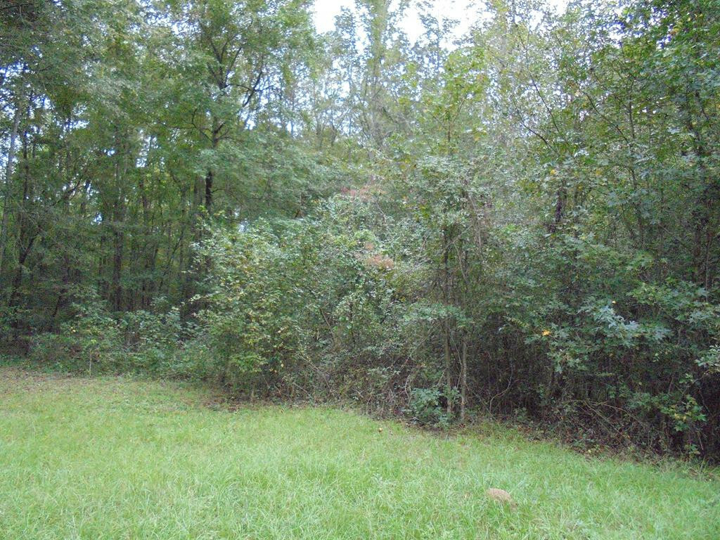 Property Photo:  0 NE Lakeview Drive  GA 30824 