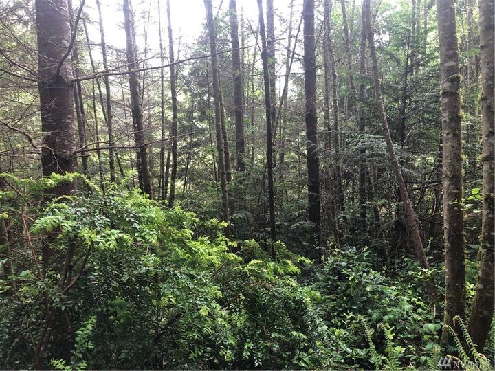 Property Photo: Lot 1 Parcells Road WA 98346