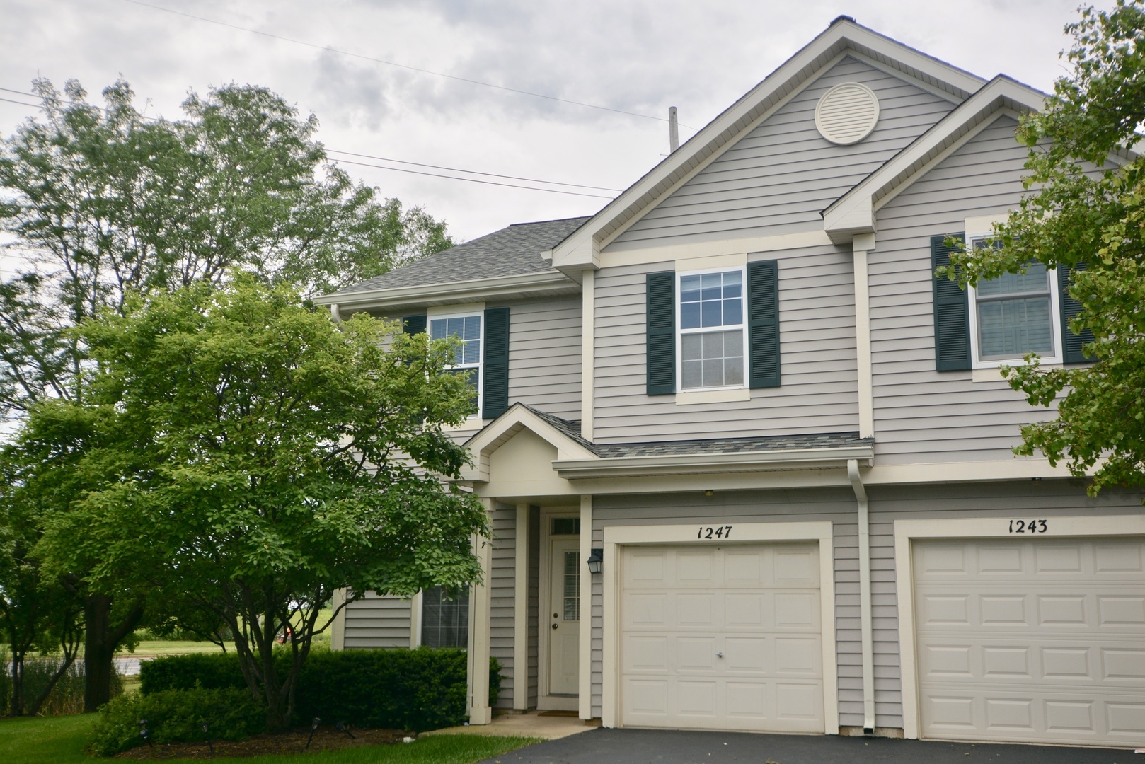 Property Photo: 1247 Denver Court IL 60540