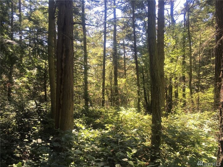 87 Center Island  Center Island WA 98221 photo