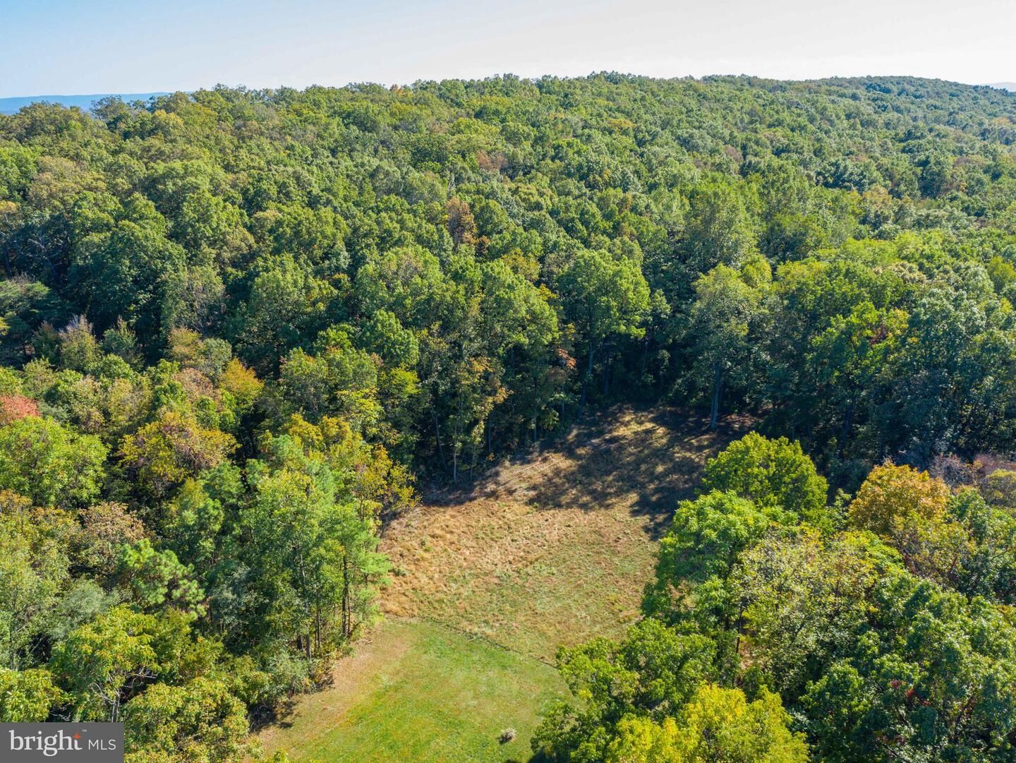 Property Photo:  239 Tankard Lane  VA 22603 