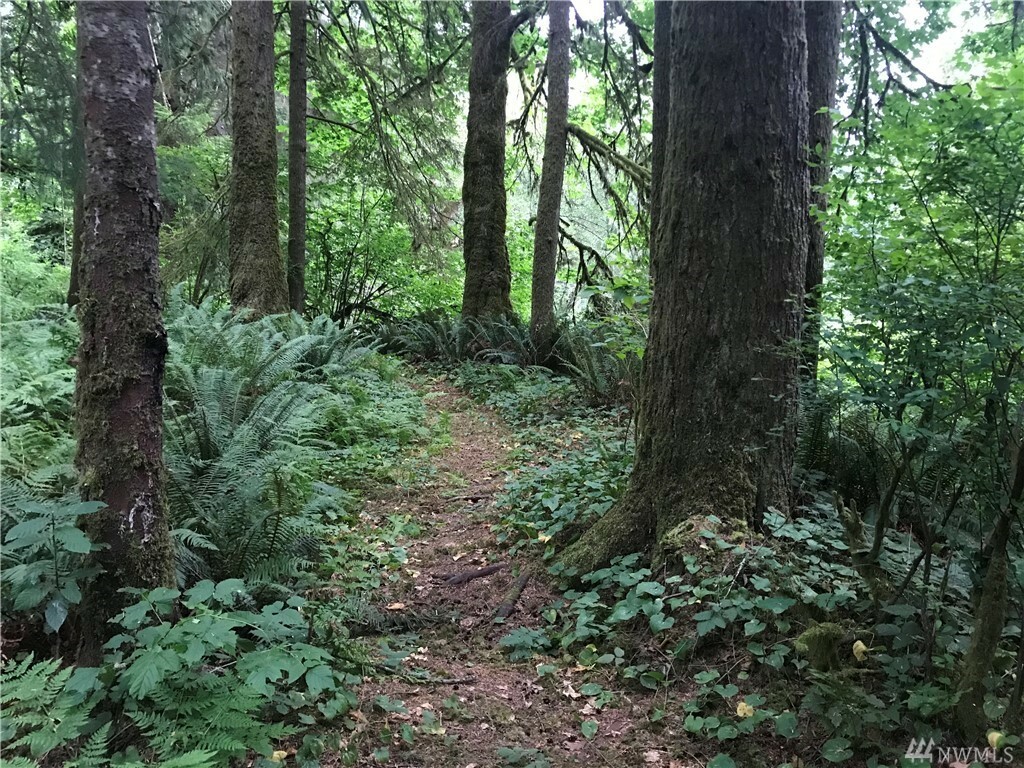 Property Photo:  222 Xx N River Dr Lot 8  WA 98252 