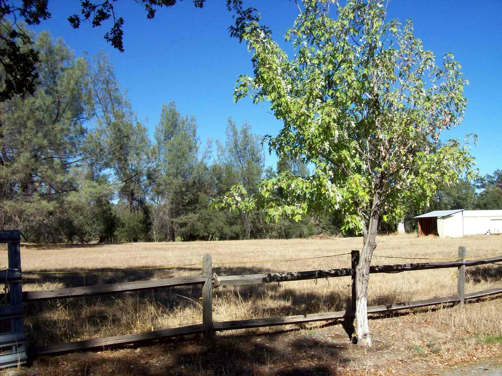 Property Photo:  18440 Farquhar Road  CA 96022 