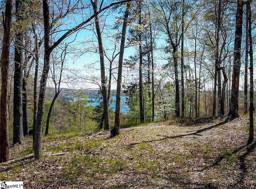 Property Photo: 143 S Falls Road SC 29685