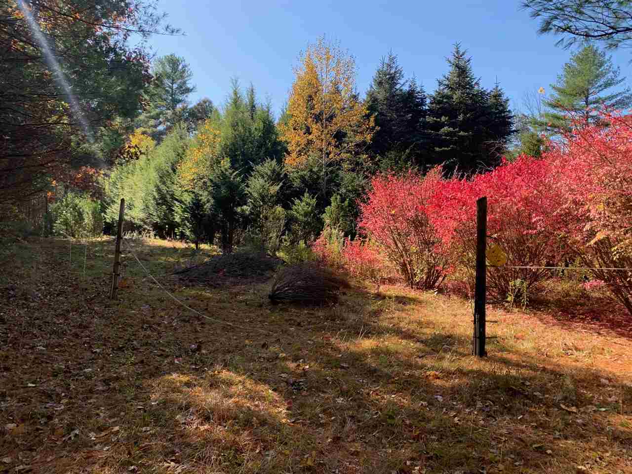 Property Photo:  141 Joppa Road  NH 03054 