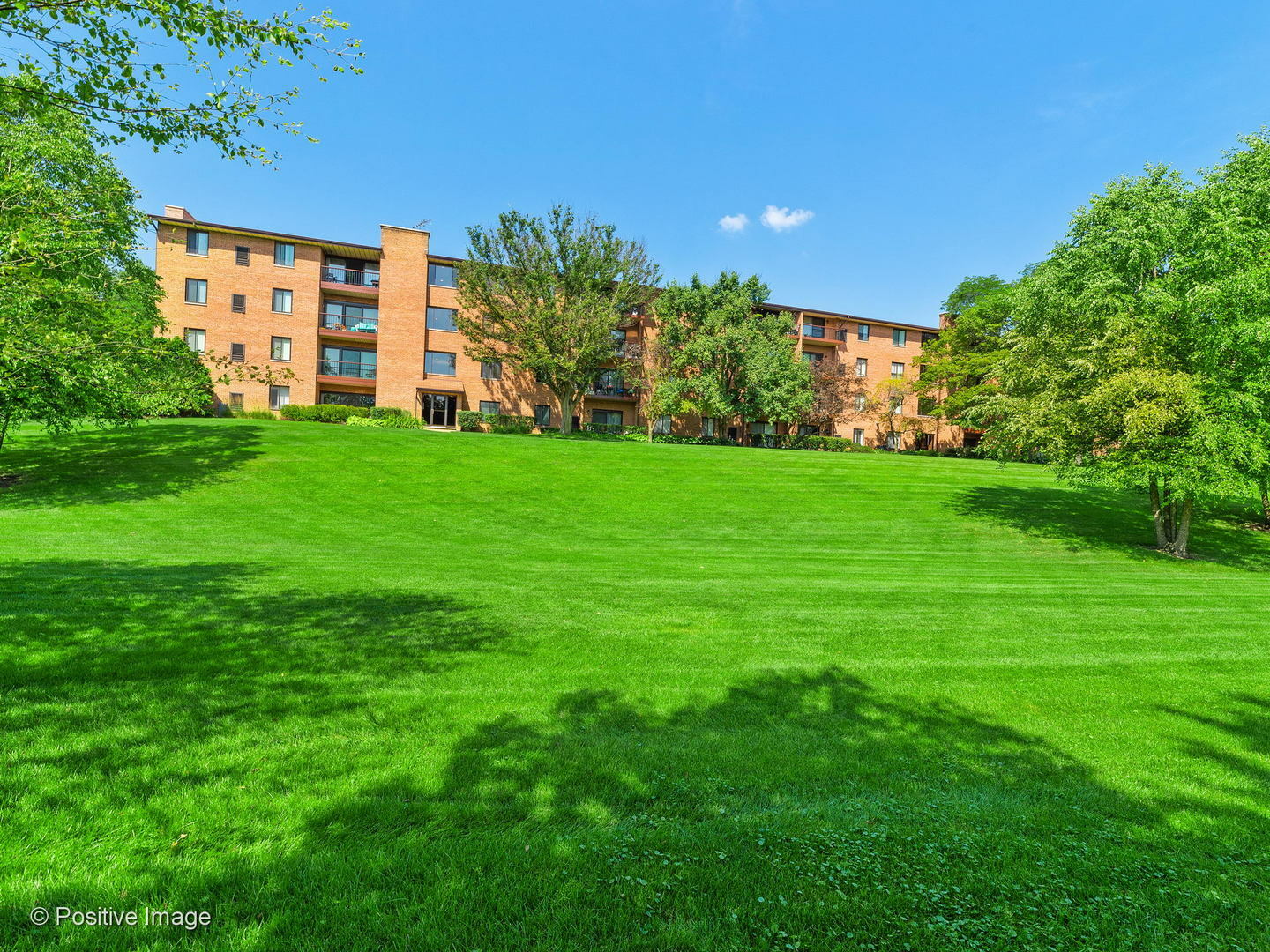Property Photo: 801 79th Street 303 IL 60561