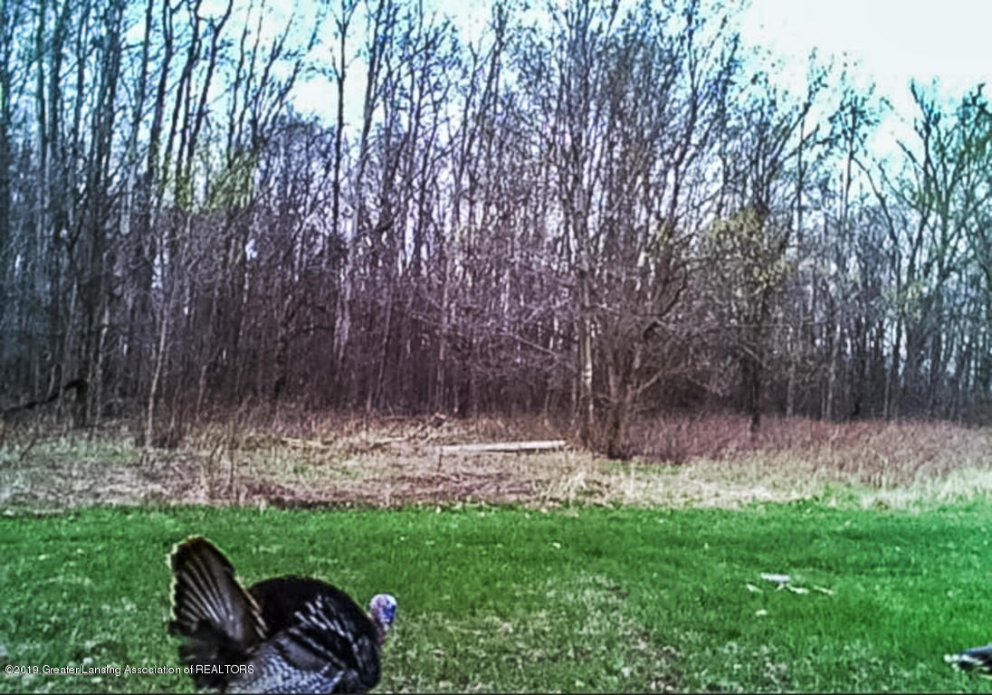Property Photo: 7340 E Nye Highway MI 48827