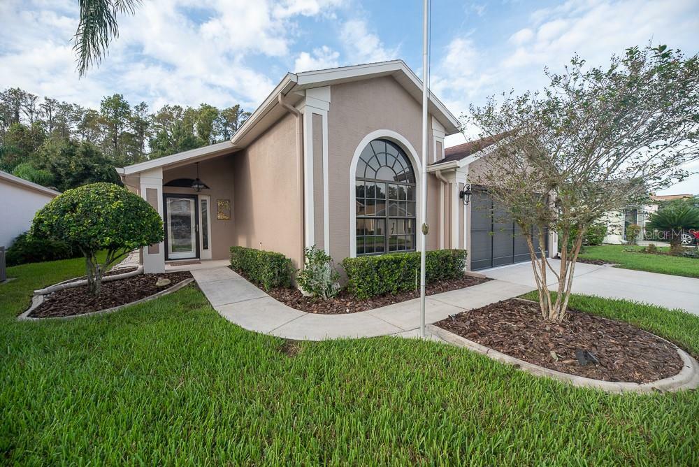 Property Photo:  9814 Conservation Drive  FL 34655 