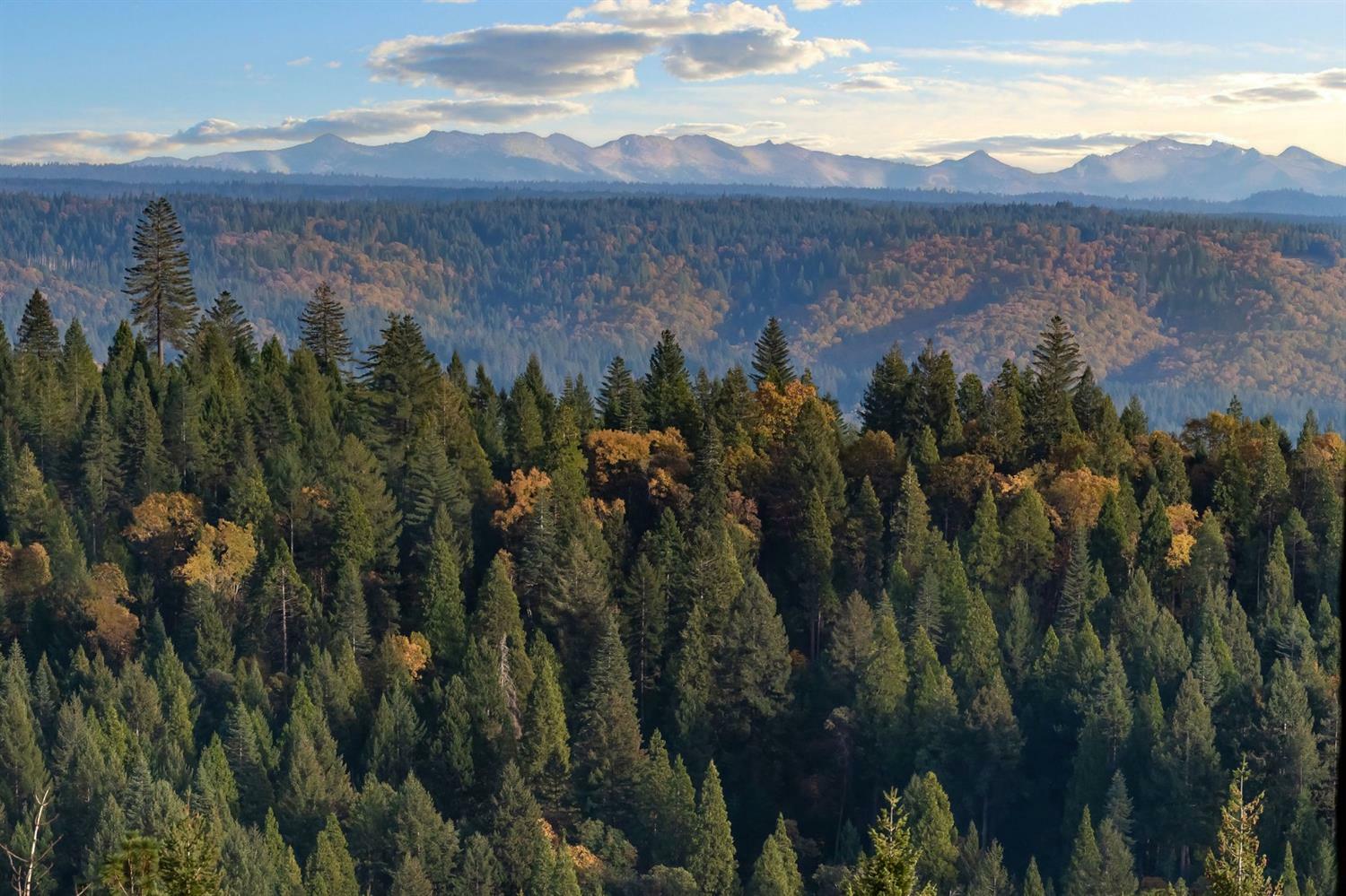 Property Photo: 14531 Banner Lava Cap Road CA 95959
