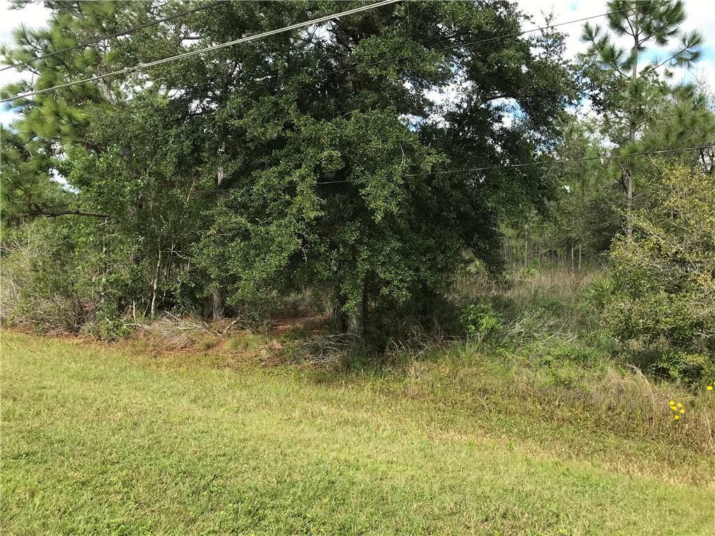 Property Photo:  Lot 233 Quarterly Parkway  FL 32833 