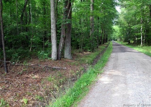 Property Photo:  0 Creek Lane  VA 23035 