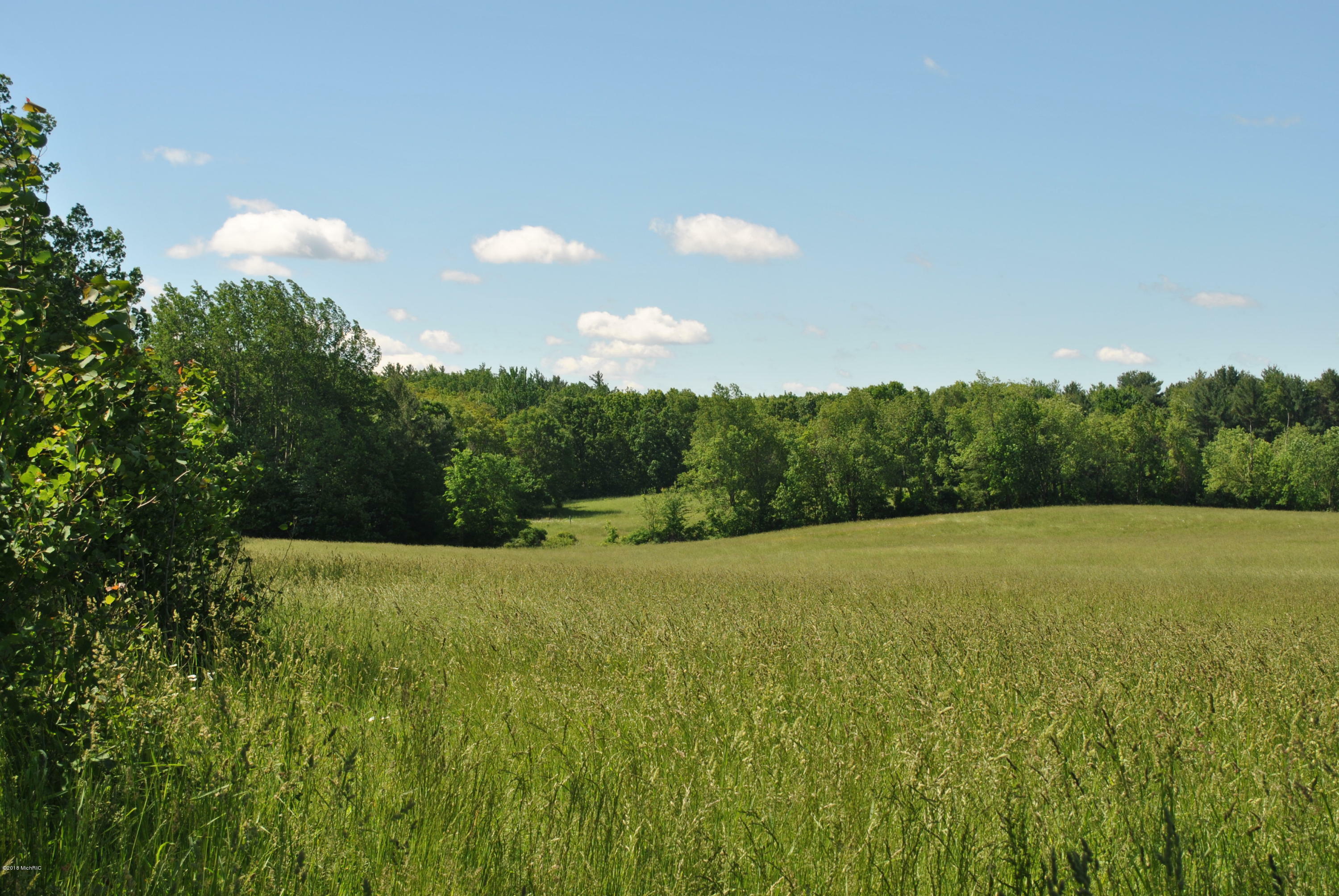 Property Photo:  Spring Drive  MI 49337 