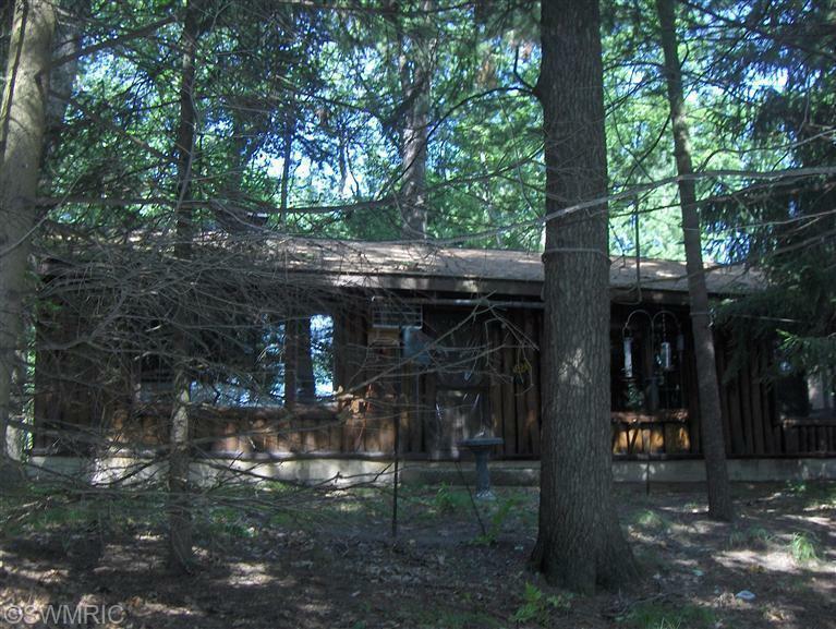 Property Photo:  10804 S L Lakes View Drive  MI 49304 