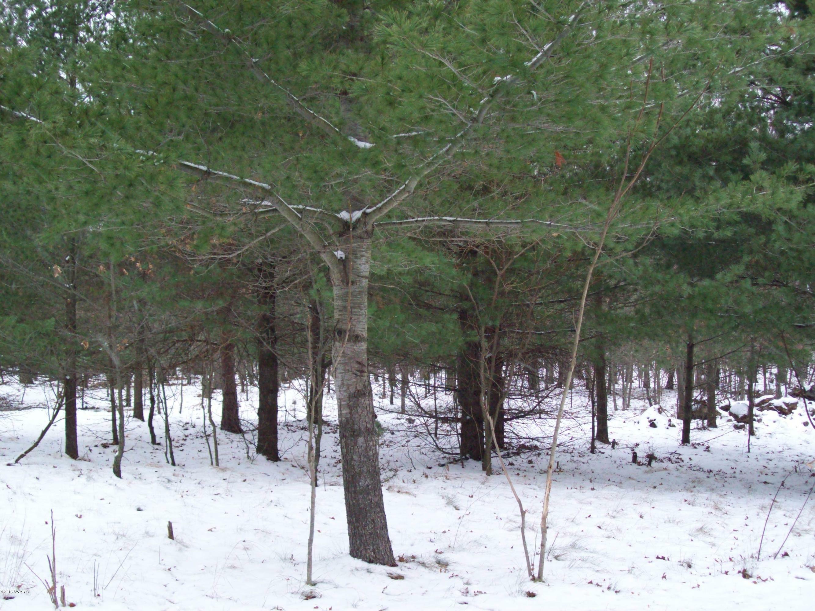 Property Photo:  Anderson Road  MI 49437 