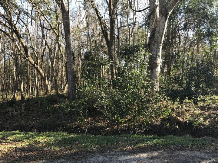 Lot 4 &Amp 5 Golf Course Parkway  Moncks Corner SC 29461 photo