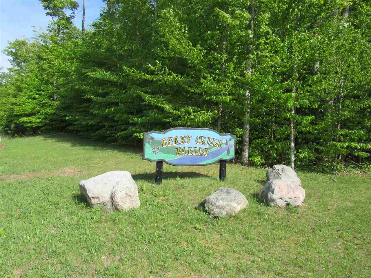 Property Photo:  11410 Berry Creek Valley Rd, #13  MI 49740 