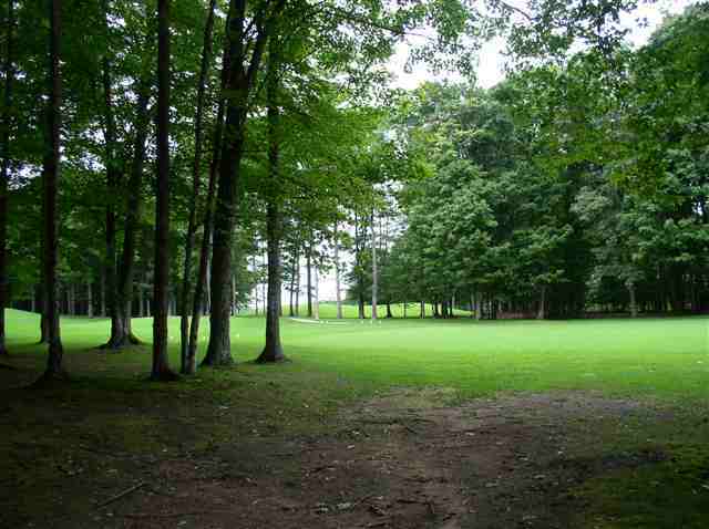 Property Photo:  2033 Greenbriar Lot #214  MI 49740 