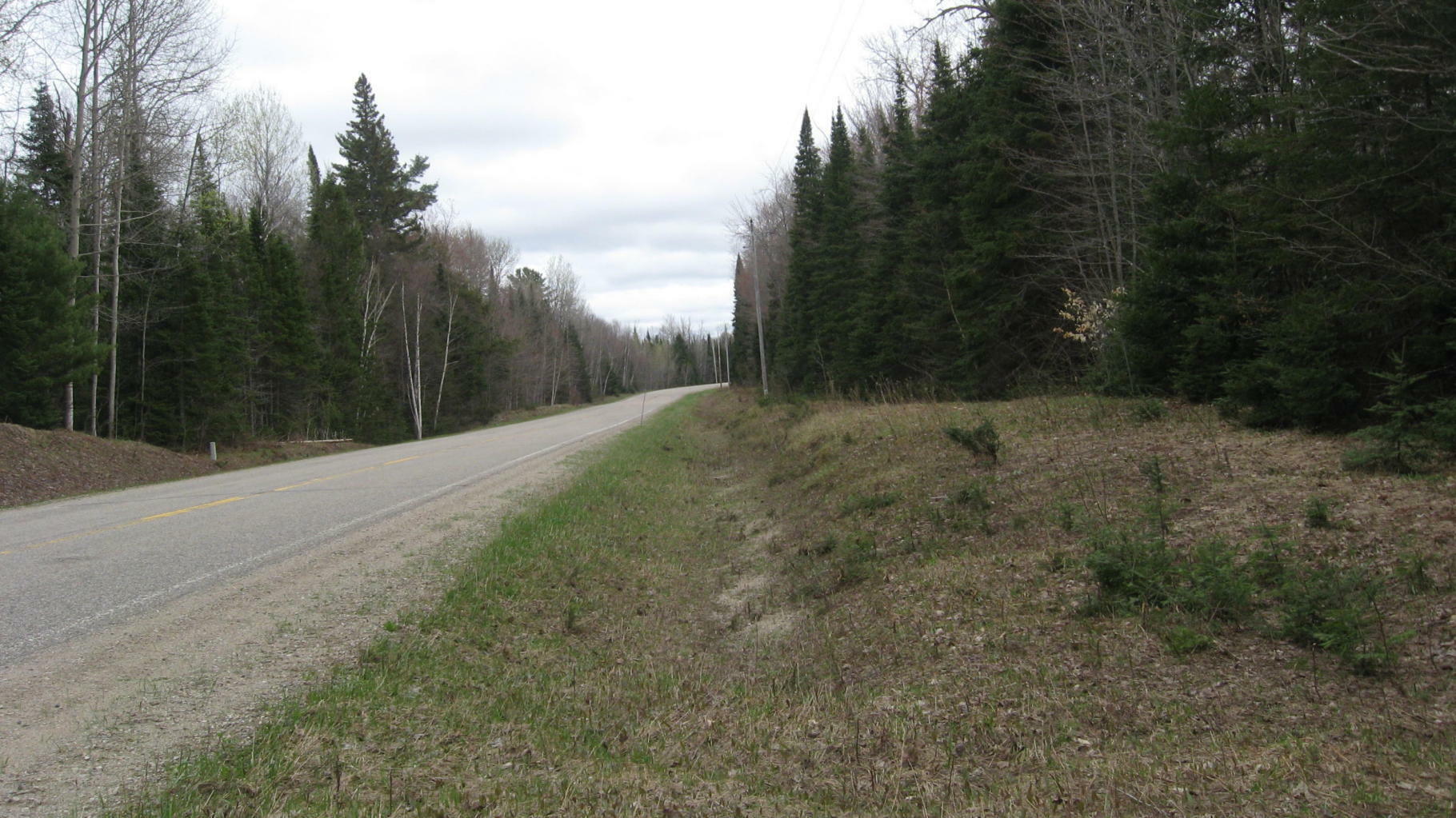 9.7 Acres Lots 4,5 Co Rd 407  Newberry MI 49868 photo