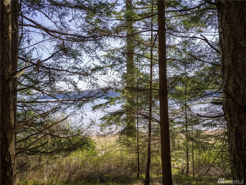 Property Photo: 0 Schruder Rd WA 98261