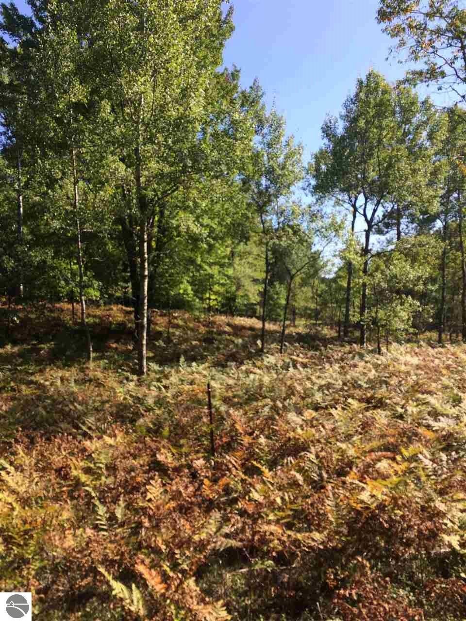 Property Photo:  0 N 47 1/2 Road  MI 49663 