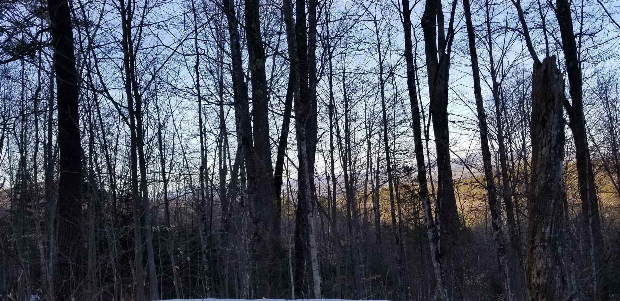 Property Photo:  203 Ellsworth Hill Road  NH 03223 