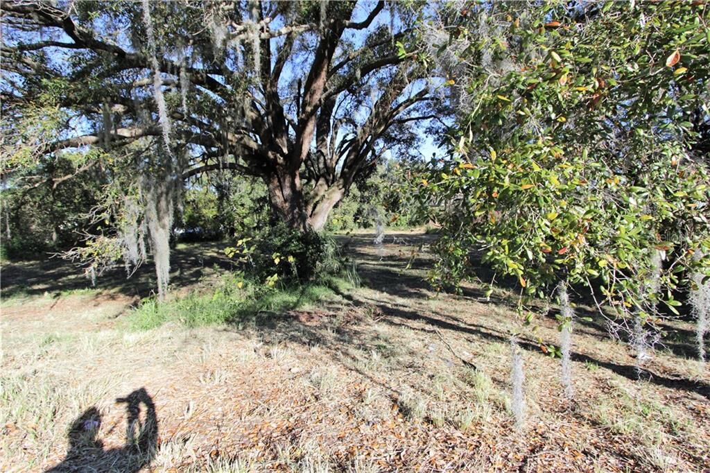 Property Photo:  2108 South Street  FL 34748 