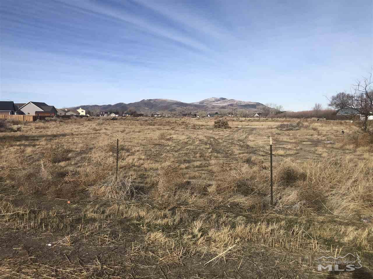 Property Photo:  1240-1250 Farm District Road 021-311-21 And 021-311-22  NV 89408 