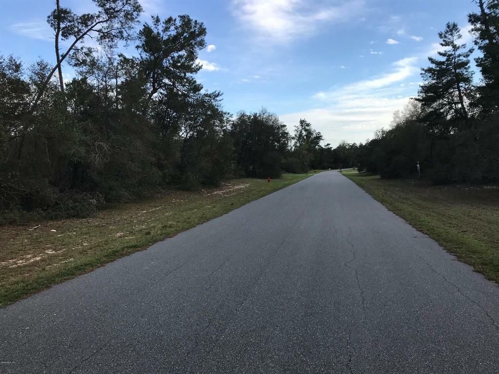 Property Photo:  Lot 10 SW 161st Loop  FL 34473 