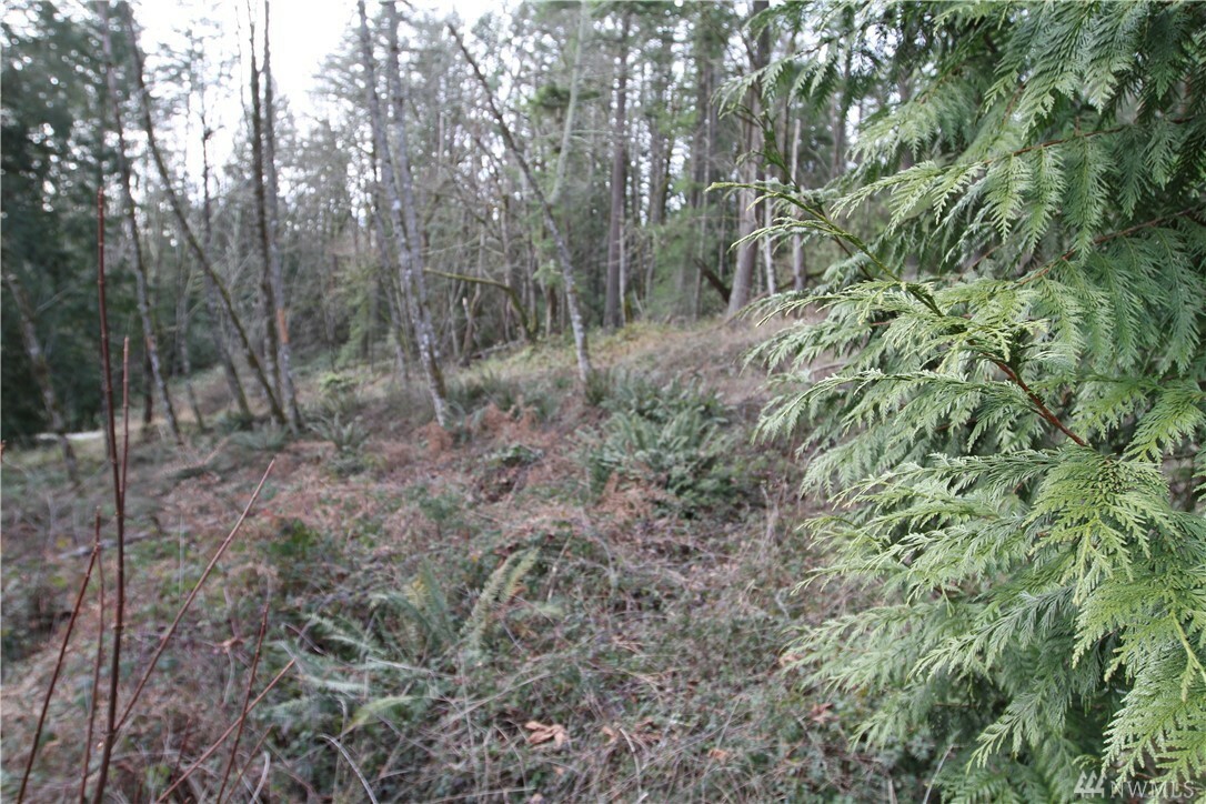 Property Photo:  0 181st Ave SE  WA 98027 