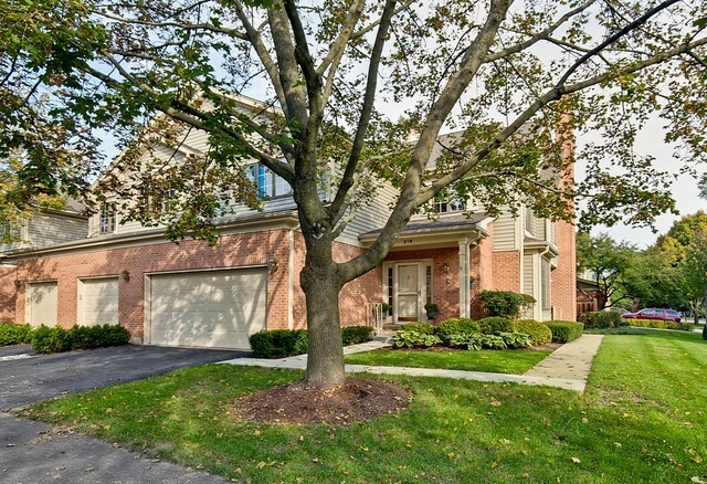 Property Photo: 218 College Drive IL 60056