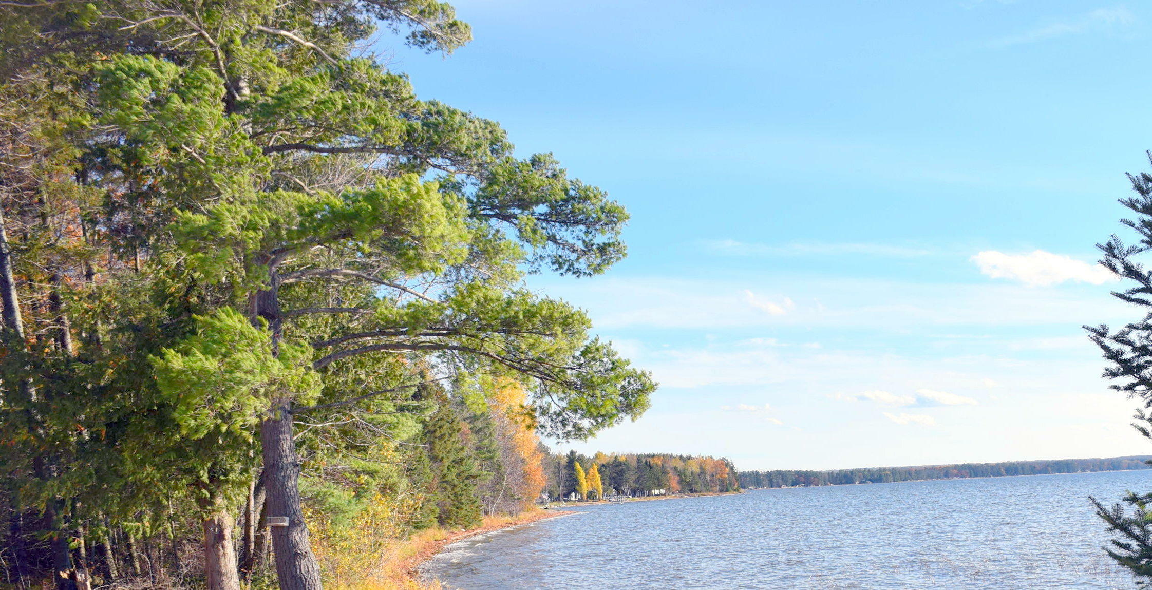 Property Photo:  Bluffs Highway Parcel B  MI 49765 