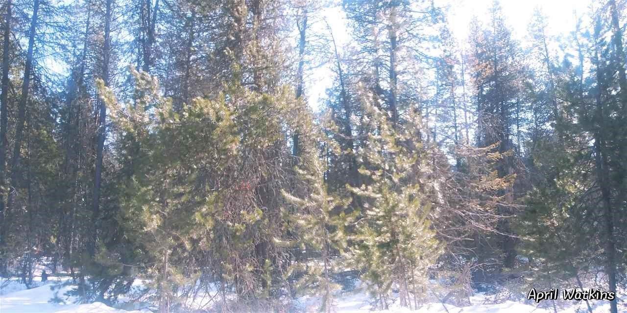 Property Photo: 0000 E Slayton WA 99006