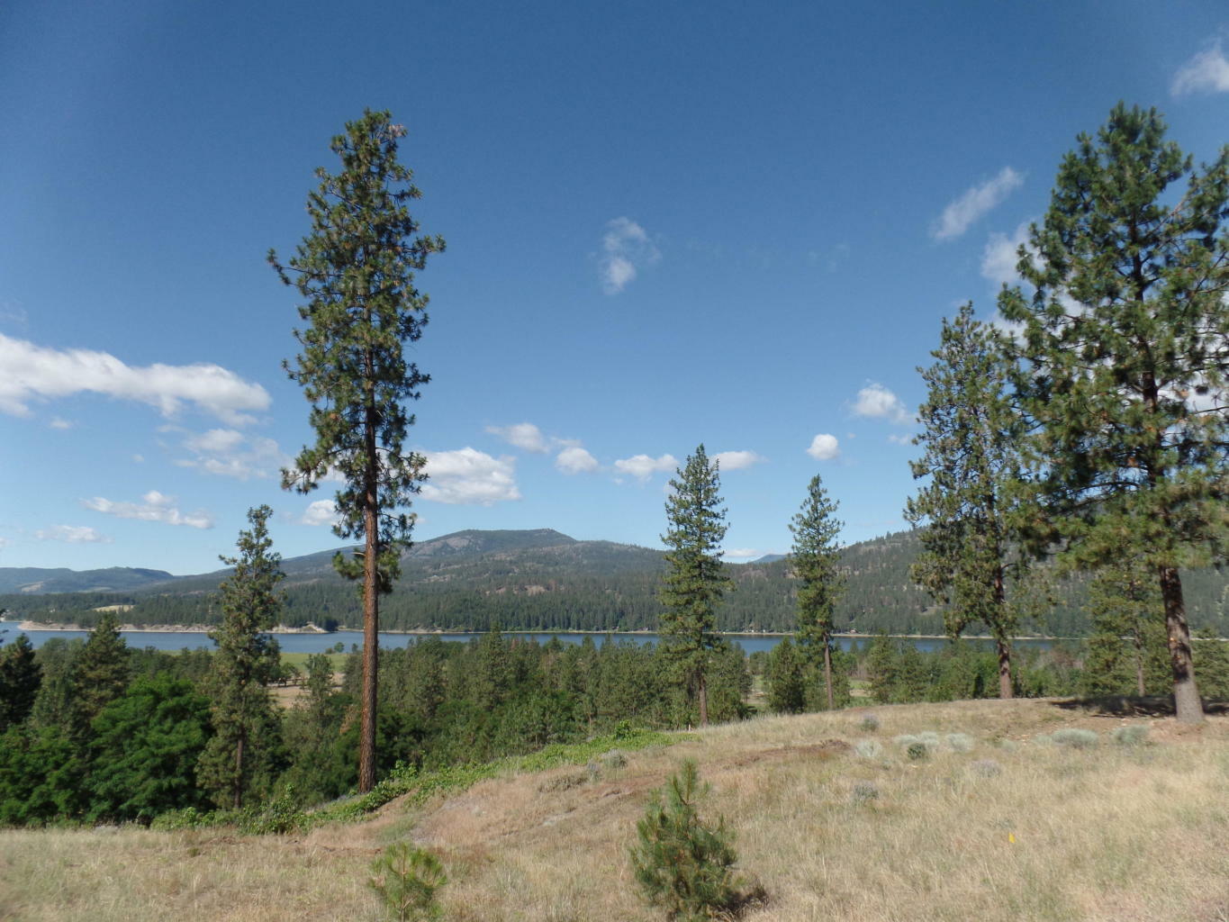 Property Photo:  Lot 105 Old Kettle Rd  WA 99141 