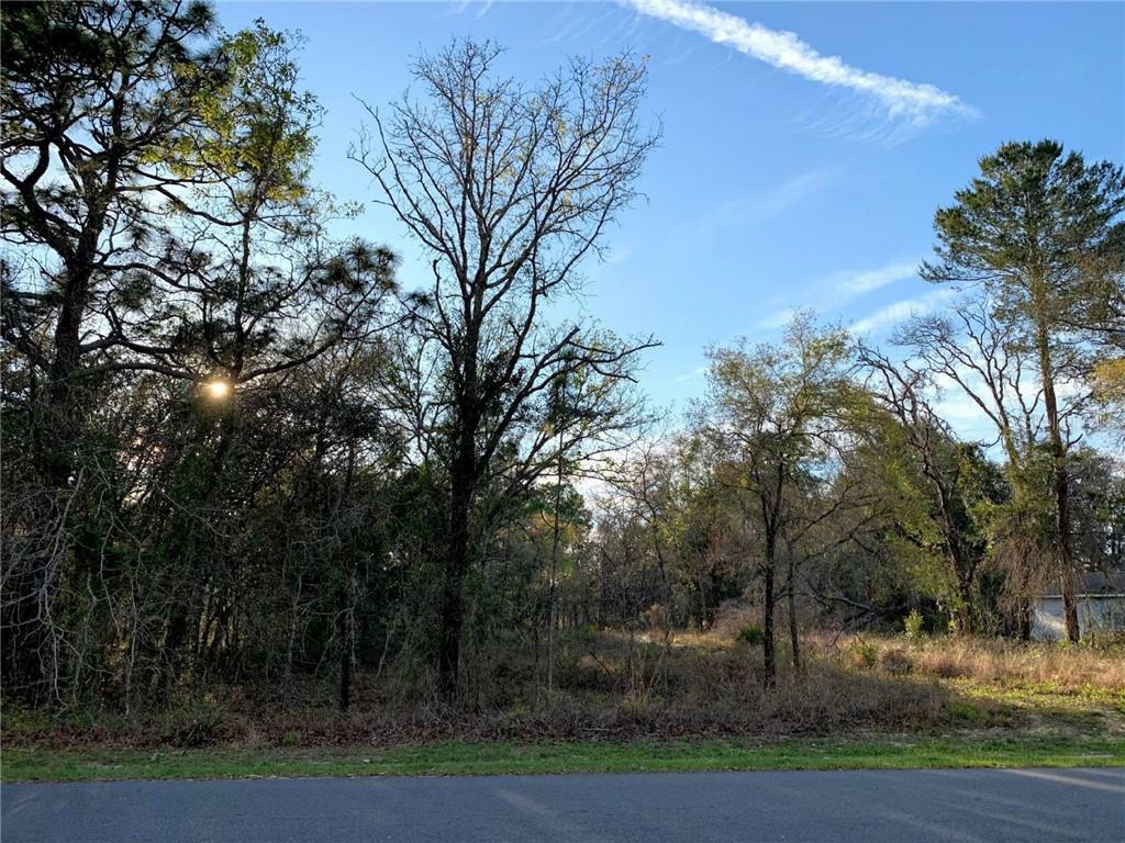 Property Photo: 12301 Fulmar Road FL 34614